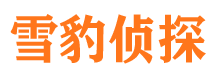 西吉寻人公司